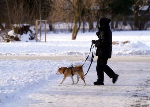 Jūrmala un Jelgava vienīgās no piecām lielākajām pilsētām ar iedzīvotāju pieaugumu.