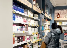 Gads pēc reformas: recepšu zāles kļuvušas lētākas, bet bezrecepšu medikamentiem cenas kāpušas