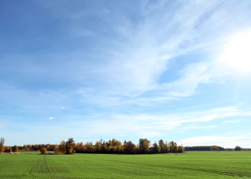 Ziemāju lauks rudenī.