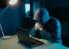 Valsts policija pērn fiksējusi ap 7 miljoniem mēģinājumu piekļūt vietnēm ar bērnu pornogrāfiju