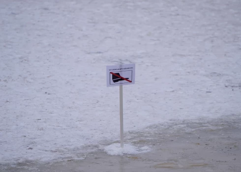 100 евро - максимальный размер штрафа за опасную прогулку.