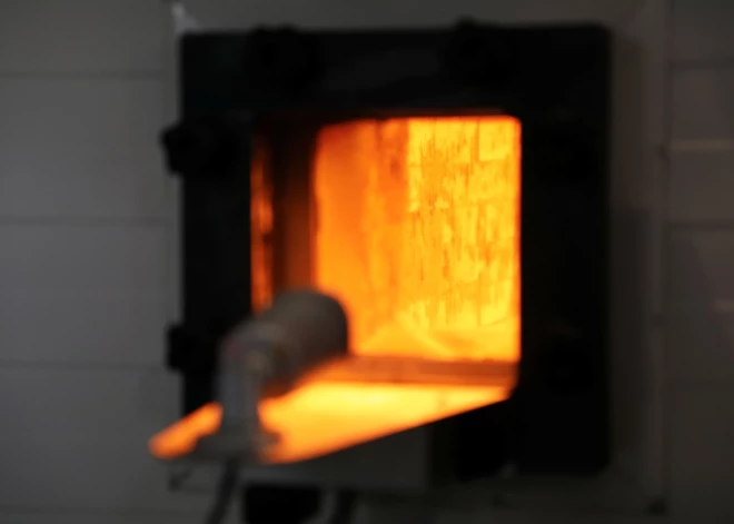 Из-за холодов жители Латвии сожгли рекордный объем популярного в стране вида топлива