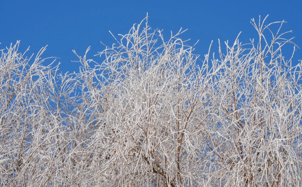 Otrdien vietām gaidāms neliels sniegs