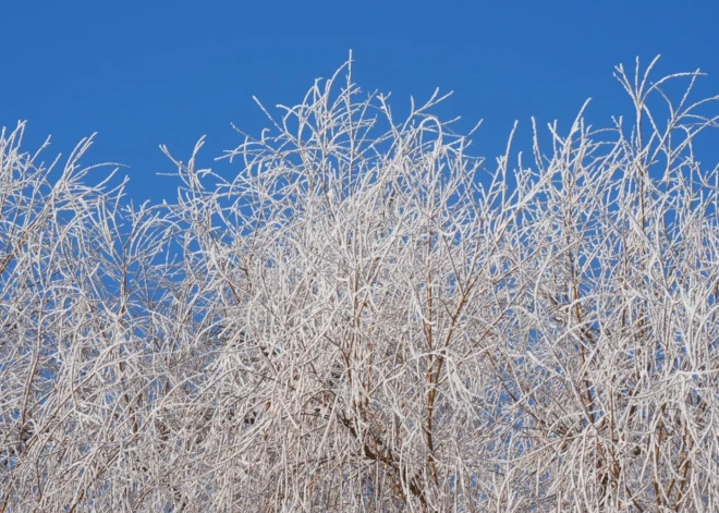 Otrdien vietām gaidāms neliels sniegs