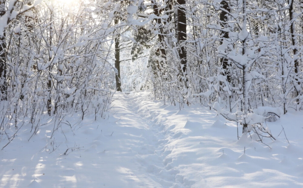 Nedēļas otrajā pusē sniega dziļums var pārsniegt pusmetru