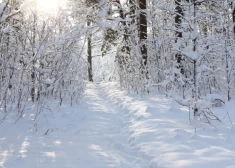 Nedēļas otrajā pusē sniega dziļums var pārsniegt pusmetru