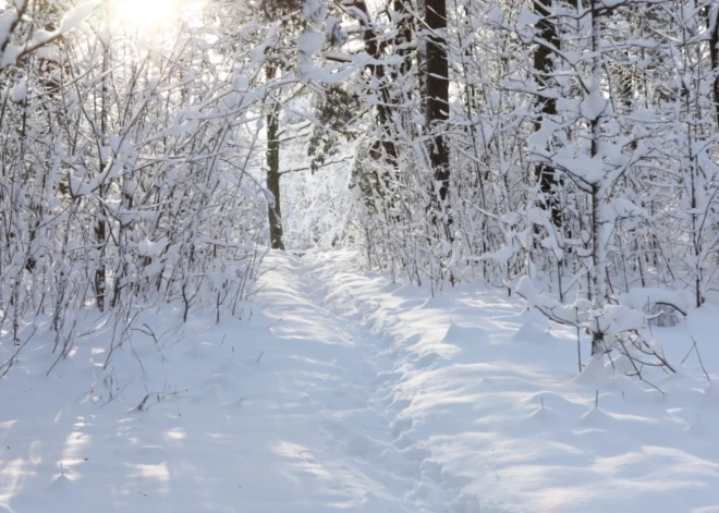 Latviju pārklās sniega kalni: vietām sniega dziļums var sasniegt 65 centimetrus