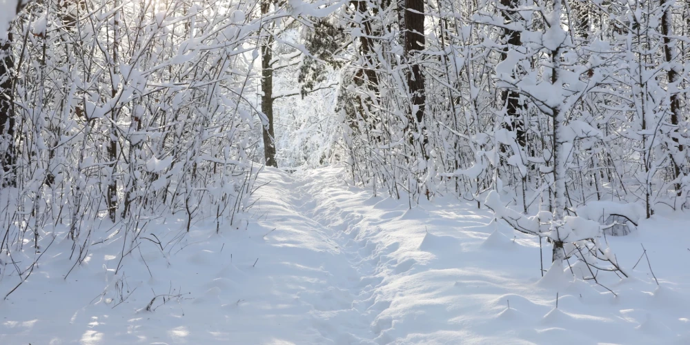 В Латвии прогнозируют заметное увеличение снежного покрова.