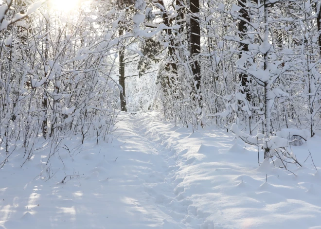 Латвию ждет мощный снегопад: во многих районах слой снега превысит 30 см, на востоке - вдвое больше