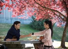 Vai tiešām "Titāniku"? Ko cilvēki patiesībā skatās Valentīndienā