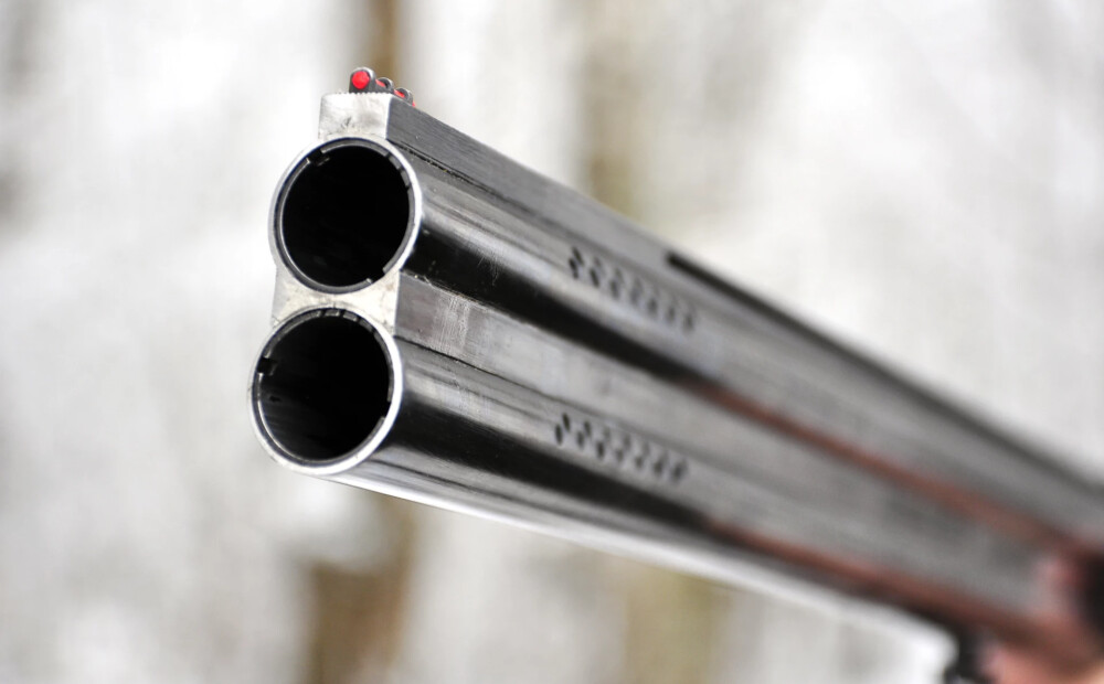 VMD konstatējis nelikumīgas medības no braucoša autotransporta