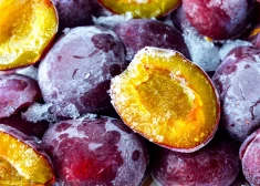 Сливы и черешня под ударом: многие деревья в Латвии рискуют не дожить до весны