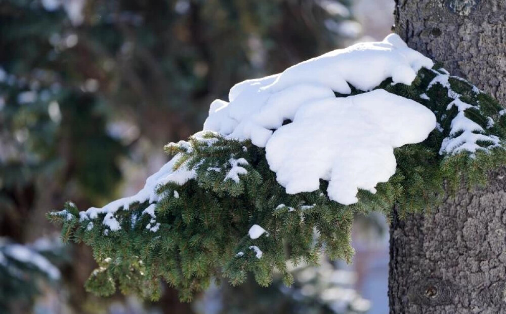 Daudzviet Latvijā gaidāms neliels sniegs. Laika prognoze trešdienai