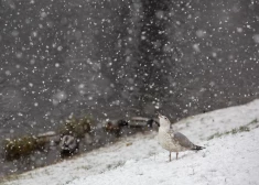 В среду местами ожидается небольшой снег