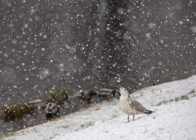 В среду местами ожидается небольшой снег