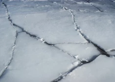 Tas bija briesmīgi! Kā viņš kliedza... – liepājniece atklāj izmisuma pilnos mirkļus, glābjot jūrā ielūzušu zēnu. VIDEO