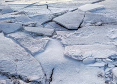"Это было ужасно! Он так кричал": жительница Лиепаи рассказала о спасении провалившегося в море мальчика