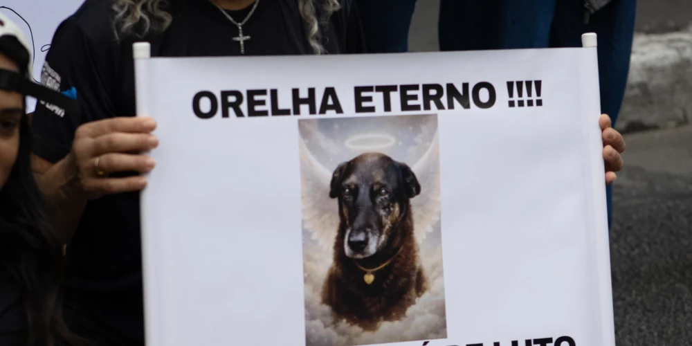 Brazīlijas sabiedrībā nerimst sašutums par daudzu iemīļotā klaiņojošā suņa Oreljas nežēlīgo nogalināšanu Florianopolisā, Santakatarinas štatā.