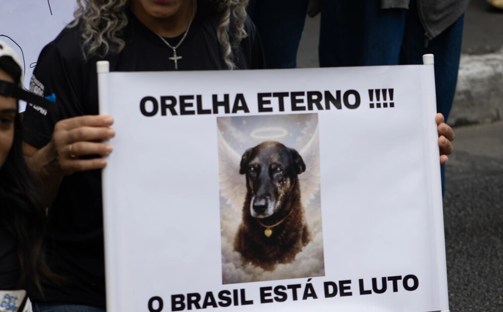 Pēc neželīgas suņa slepkavības Sanpaulu štatā atļauj mājdzīvniekus apglabāt līdzās saimniekiem