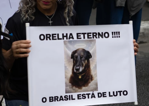 Brazīlijas sabiedrībā nerimst sašutums par daudzu iemīļotā klaiņojošā suņa Oreljas nežēlīgo nogalināšanu Florianopolisā, Santakatarinas štatā.