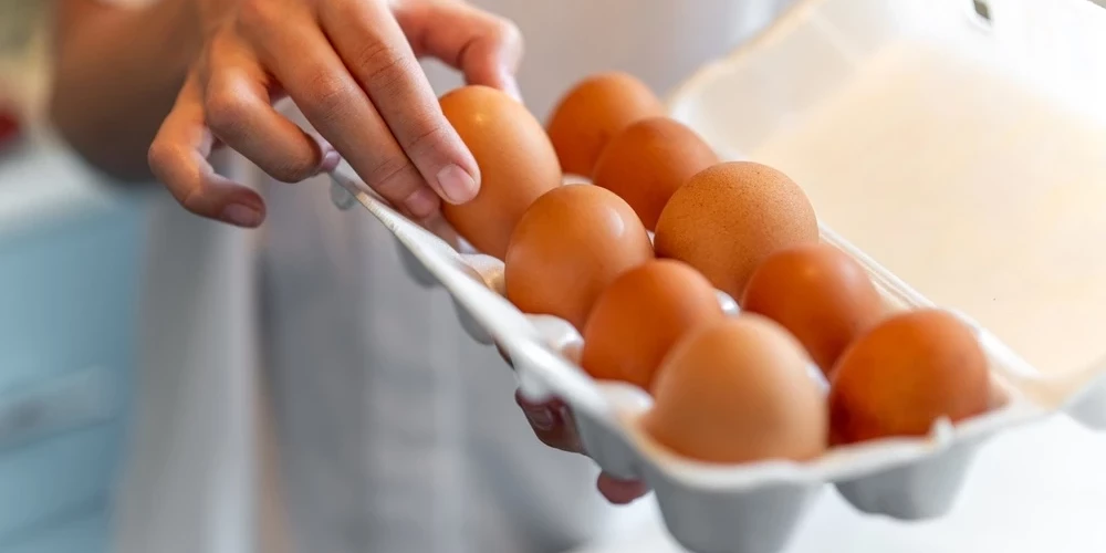 Иллюстративное фото.