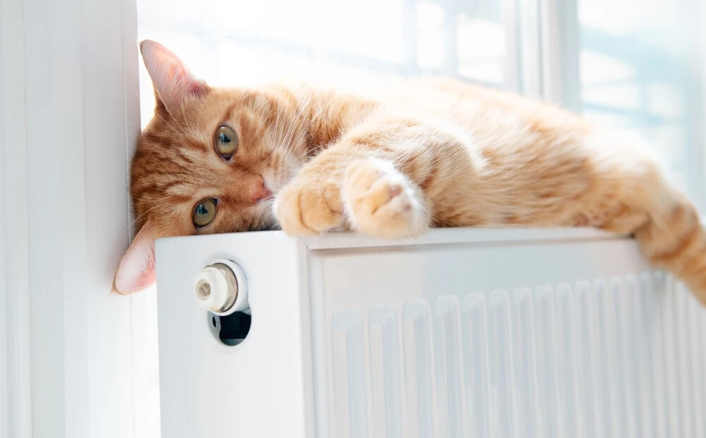 Ekonomisti mierina: aukstuma un elektrības efekts inflācijā būs īslaicīgs