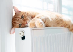 Ekonomisti mierina: aukstuma un elektrības efekts inflācijā būs īslaicīgs