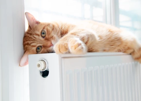 Aukstais laiks un elektroenerģijas izmaksu pieaugums tuvākajos mēnešos ietekmēs inflāciju.