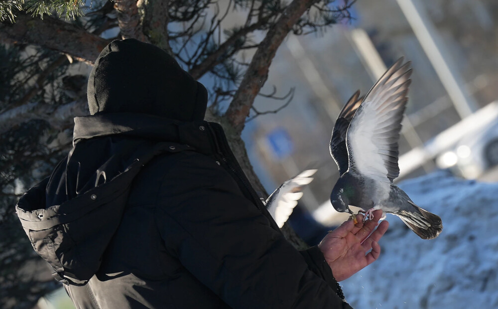 Sals sāk atkāpties - ceturtdien gaidāma siltākā diena pēdējā mēneša laikā