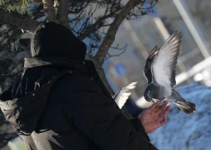 Sals sāk atkāpties - ceturtdien gaidāma siltākā diena pēdējā mēneša laikā