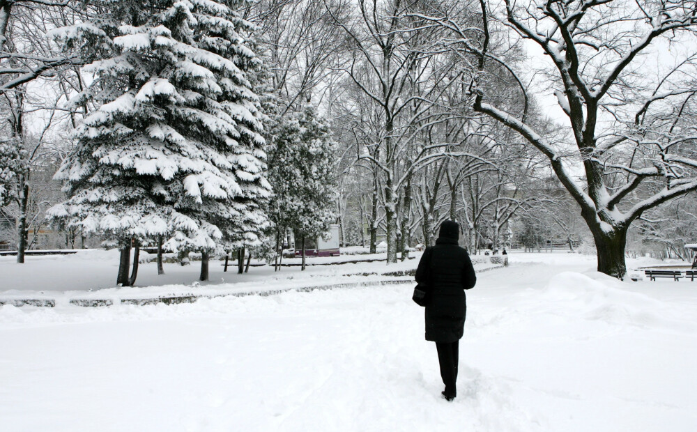 Dagdā fiksēts dziļākais sniegs pēdējo triju gadu laikā