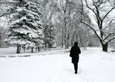 Dagdā fiksēts dziļākais sniegs pēdējo triju gadu laikā - sniega sega pieaugusi līdz 51 centimetram