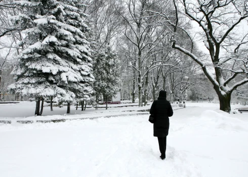 Sniega sega pieaugusi līdz 51 centimetram.