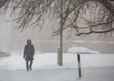 В Латвии, в том числе в Риге, объявлено оранжевое предупреждение из-за сильного снегопада