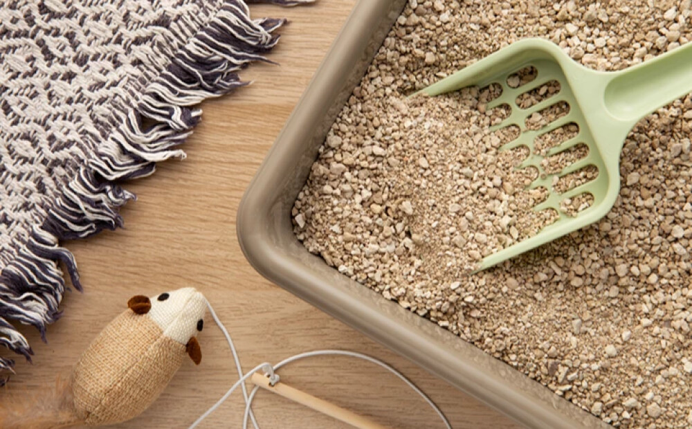 Dino Zoo pircēju TOP 5: Labākās kaķu smiltis dažādiem budžetiem un vajadzībām