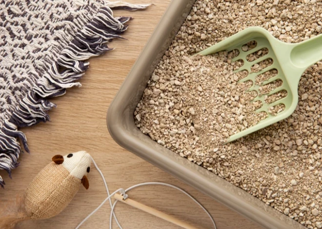 Dino Zoo pircēju TOP 5: Labākās kaķu smiltis dažādiem budžetiem un vajadzībām 