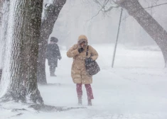 По всей Латвии действует оранжевое предупреждение из-за сильного снегопада