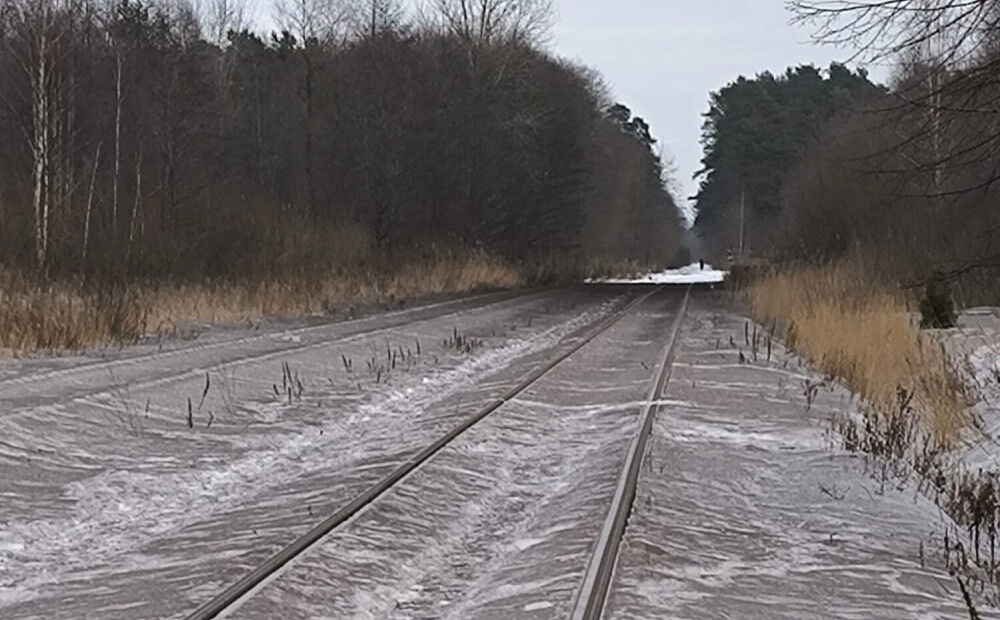 Superkaitnieciskā roze Carnikavā, pusplikā dāma Daugavpilī un izjauktā Valentīnas ballīte kūrortā: kriminālā province
