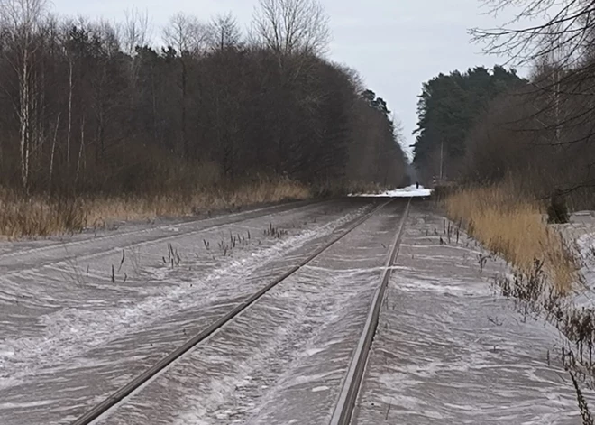Superkaitnieciskā roze Carnikavā, pusplikā dāma Daugavpilī un izjauktā Valentīnas ballīte kūrortā: kriminālā province