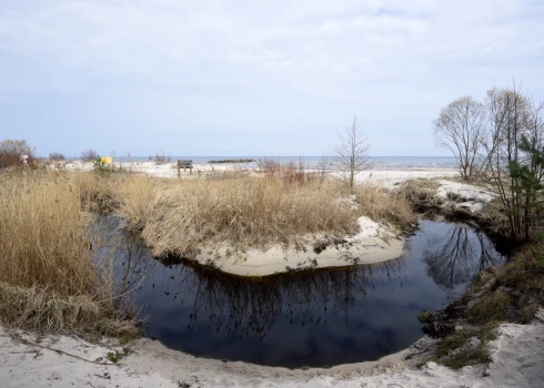 Ilustratīvs attēls.