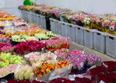 Nemaz tik romantiski: Valentīndienas stāsts, ko reti kurš zina