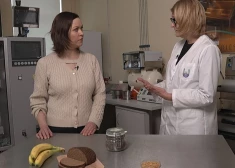 VIDEO: zinātnieki skaidro - vai kukaiņi palīdzēs paēdināt cilvēci?