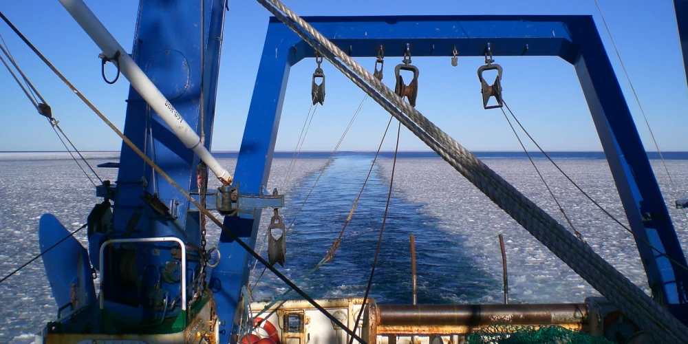 Ivars Putnis atgādina, ka Baltijas jūra ir ļoti jutīga ekosistēma un faktori, kas savstarpēji mijiedarbojas, ir daudz un dažādi, tālab vienu konkrētu grēkāzi, kas pie visa ir vainīgs, nemaz nav iespējams nosaukt.