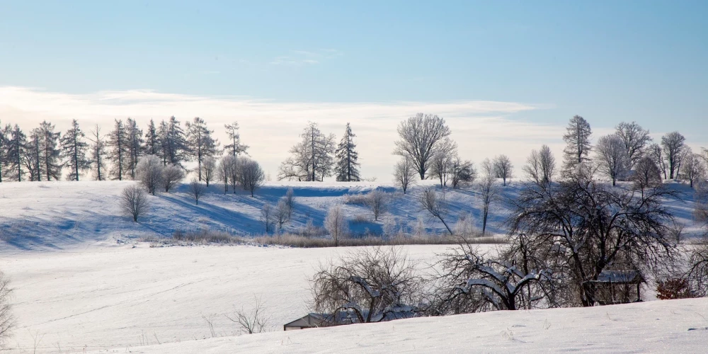 Иллюстративное фото.