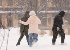 В Латвии зафиксирован самый глубокий снежный покров с 2013 года