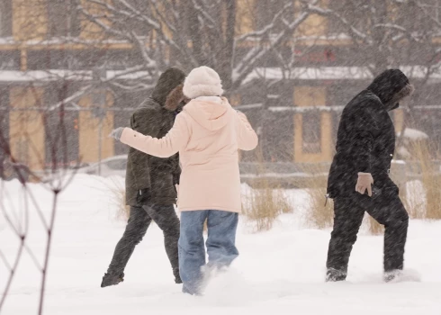 Иллюстративное фото.