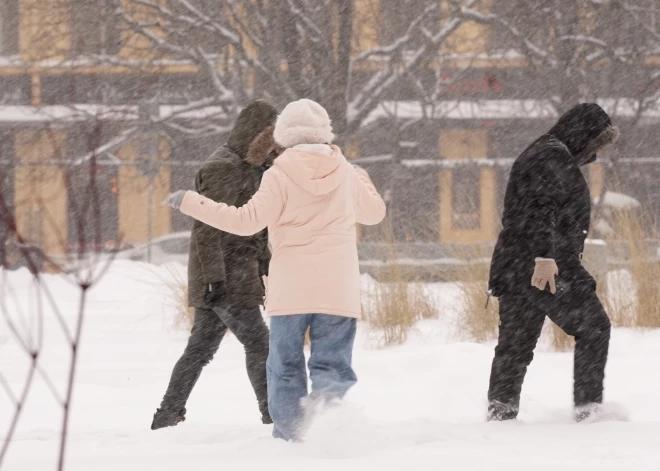 В Латвии зафиксирован самый глубокий снежный покров с 2013 года