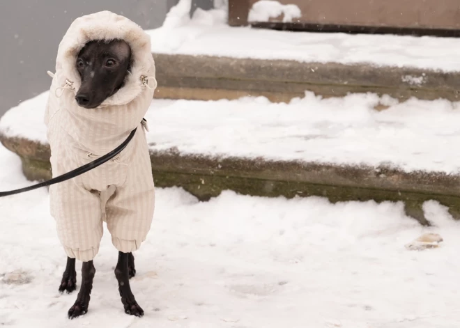 Naktī uz svētdienu gaidāms stiprs sals 