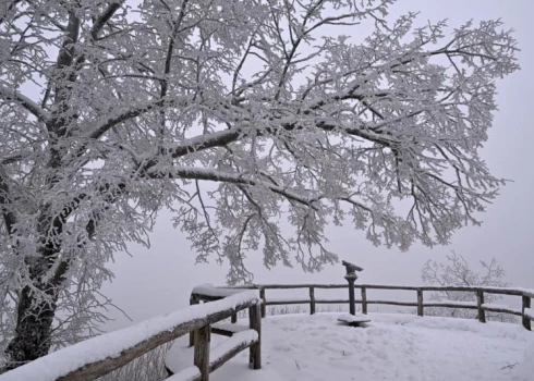 Svētdien Latvijā valdīs sals.