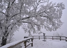 В Латвии в воскресенье будет сухо и морозно